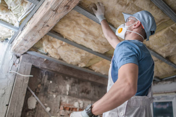 Best Commercial Insulation in Odessa, MO