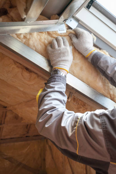 Best Cellulose Insulation in Odessa, MO