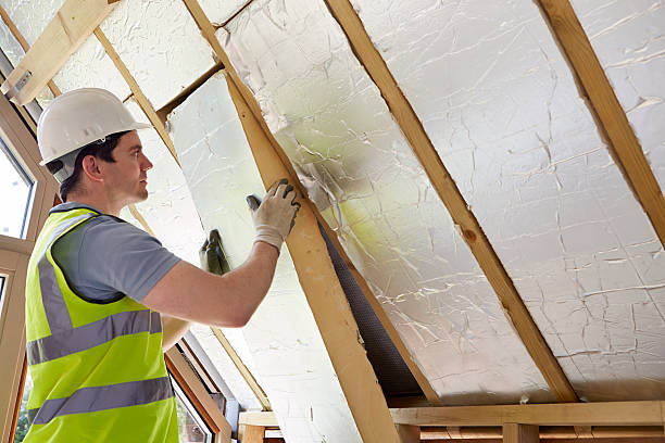 Best DIY Insulation Kits and Guidance in Odessa, MO