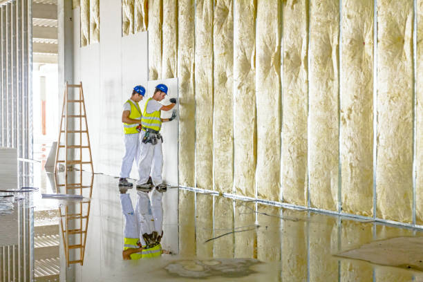 Best Geographic-Specific Insulation Services in Odessa, MO